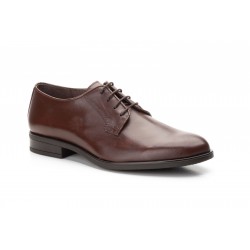 Brown Shoe Man Leather