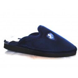 Blue slippers shaped...