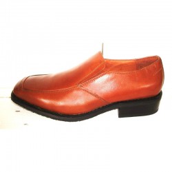 Brown leather shoe